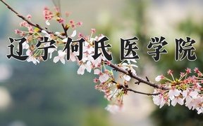 2024辽宁何氏医学院录取分数线，重庆录取最低分295