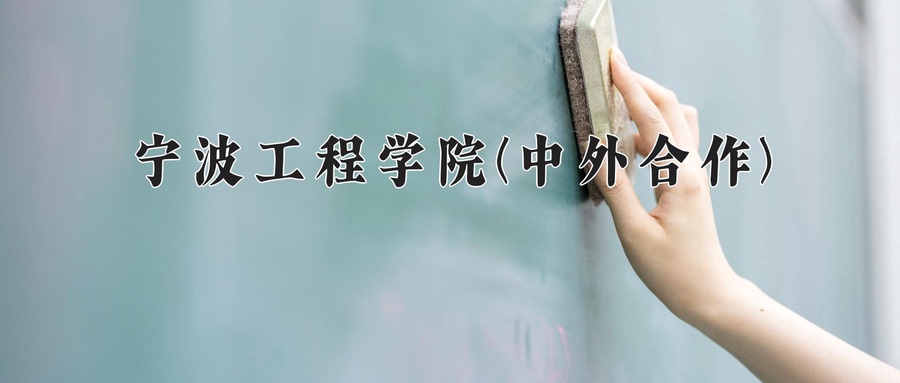 宁波工程学院(中外合作)