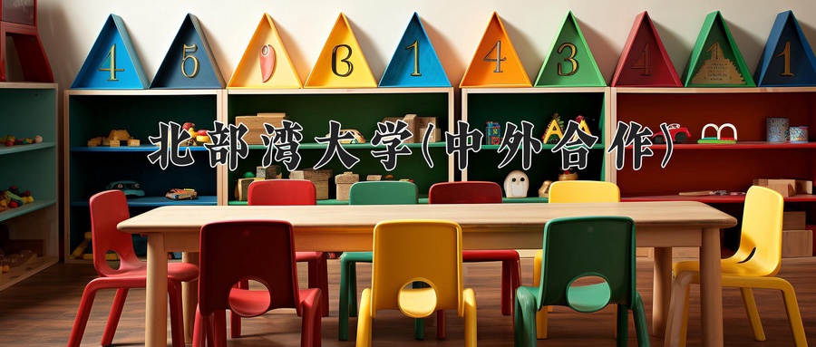 北部湾大学(中外合作)