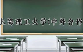 2024上海理工大学(中外合作)录取分数线，重庆录取最低分509