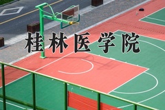 2024桂林医学院录取分数线，重庆录取最低分476