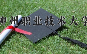 2024柳州职业技术大学录取分数线，云南最低332分