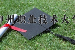 2024柳州职业技术大学录取分数线，云南最低332分
