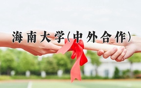 2024海南大学(中外合作)录取分数线，重庆录取最低分496