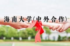2024海南大学(中外合作)录取分数线，重庆录取最低分496