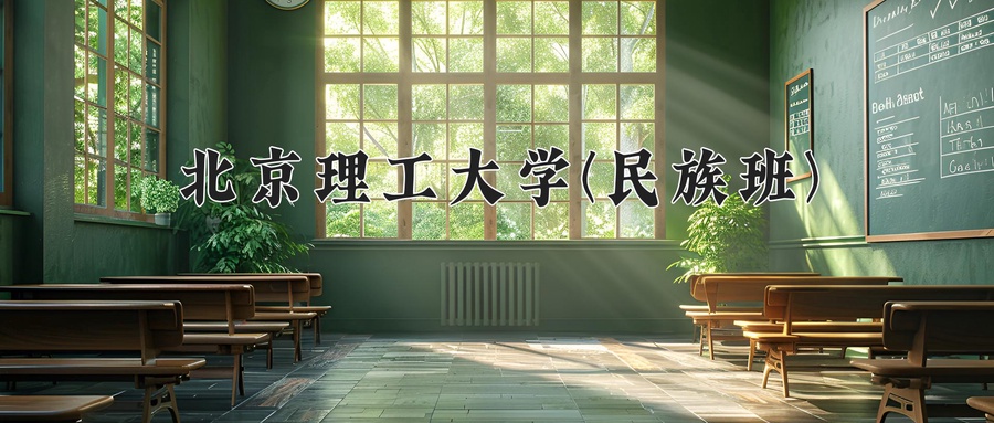 北京理工大学(民族班)