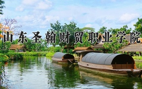 2024山东圣翰财贸职业学院录取分数线，重庆录取最低分312