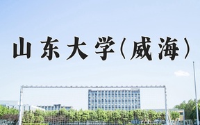 2024山东大学(威海)录取分数线，云南最低558分