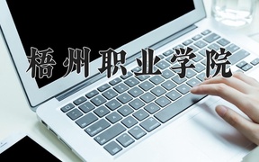 2024梧州职业学院录取分数线，重庆录取最低分312