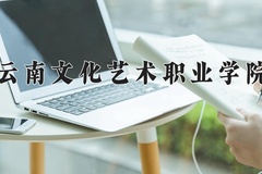 2024云南文化艺术职业学院录取分数线，云南最低280分