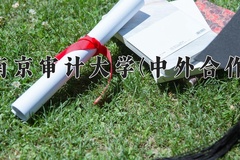 2024南京审计大学(中外合作)录取分数线，重庆录取最低分552