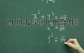 2024四川大学(中外合作)录取分数线，重庆录取最低分610