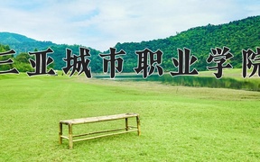 2024三亚城市职业学院录取分数线，云南最低251分