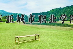 2024三亚城市职业学院录取分数线，云南最低251分