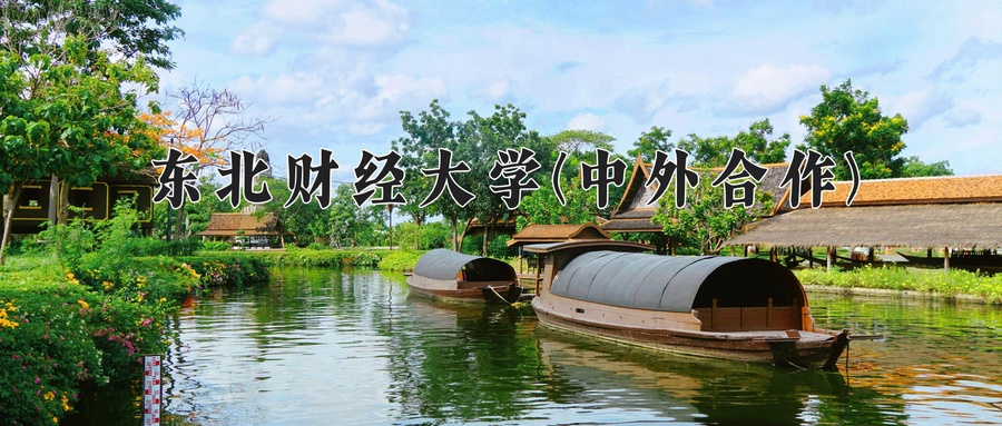 东北财经大学(中外合作)