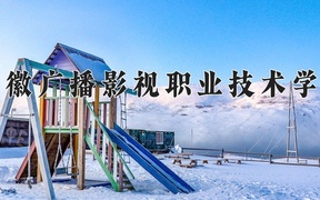 2024安徽广播影视职业技术学院录取分数线，云南最低333分