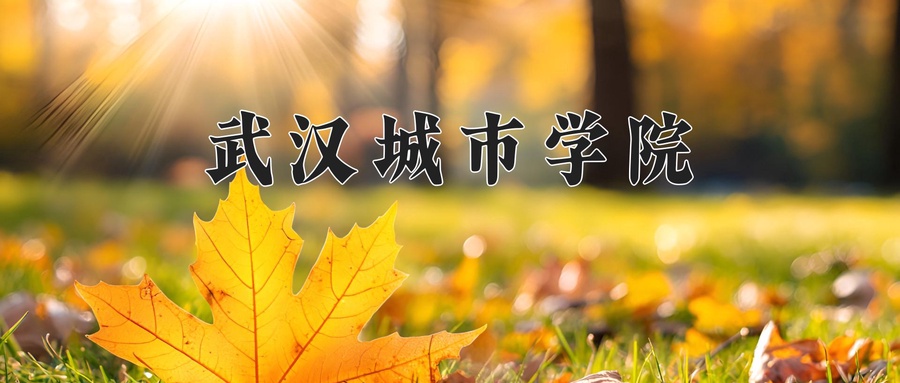 武汉城市学院