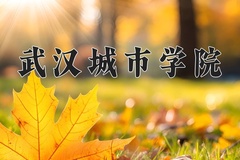 2024武汉城市学院录取分数线，云南最低421分