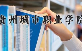 2024贵州城市职业学院录取分数线，云南最低284分