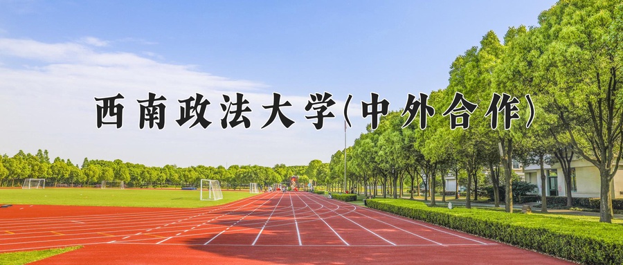 西南政法大学(中外合作)