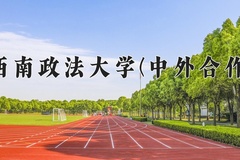 2024西南政法大学(中外合作)录取分数线，重庆录取最低分576