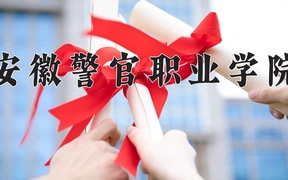 2024安徽警官职业学院录取分数线，云南最低386分