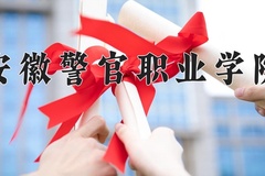 2024安徽警官职业学院录取分数线，云南最低386分