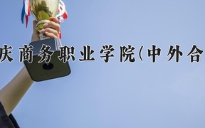 2024重庆商务职业学院(中外合作)录取分数线，重庆录取最低分355