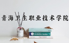 2024青海卫生职业技术学院录取分数线，重庆录取最低分375
