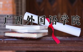 2024广西外国语学院录取分数线，云南最低423分