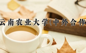 2024云南农业大学(中外合作)录取分数线，云南最低424分