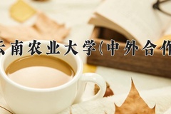 2024云南农业大学(中外合作)录取分数线，云南最低424分