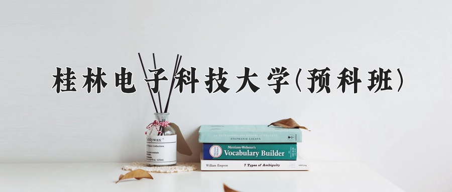 桂林电子科技大学(预科班)