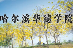 2024哈尔滨华德学院录取分数线，云南最低382分