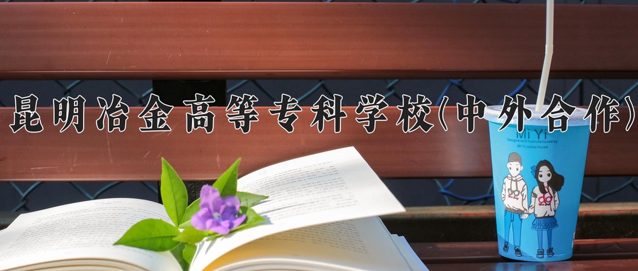 昆明冶金高等专科学校(中外合作)
