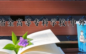 2024昆明冶金高等专科学校(中外合作)录取分数线，云南最低369分