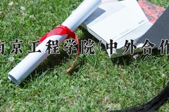2024南京工程学院(中外合作)录取分数线，重庆录取最低分494