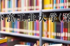 2024哈尔滨工业大学(深圳)录取分数线，重庆录取最低分613
