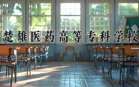 2024楚雄医药高等专科学校录取分数线，云南最低408分