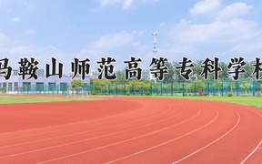2024马鞍山师范高等专科学校录取分数线，重庆录取最低分369