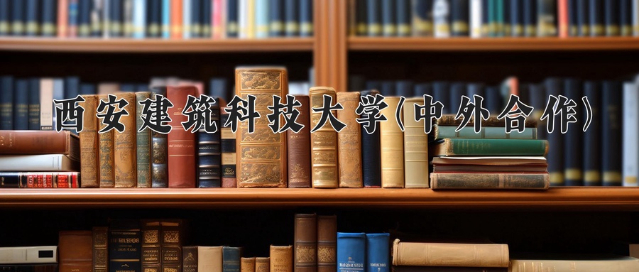 西安建筑科技大学(中外合作)