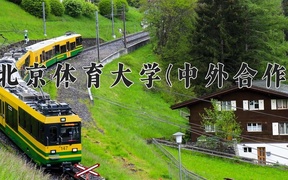 2024北京体育大学(中外合作)录取分数线，重庆录取最低分495