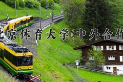 2024北京体育大学(中外合作)录取分数线，重庆录取最低分495