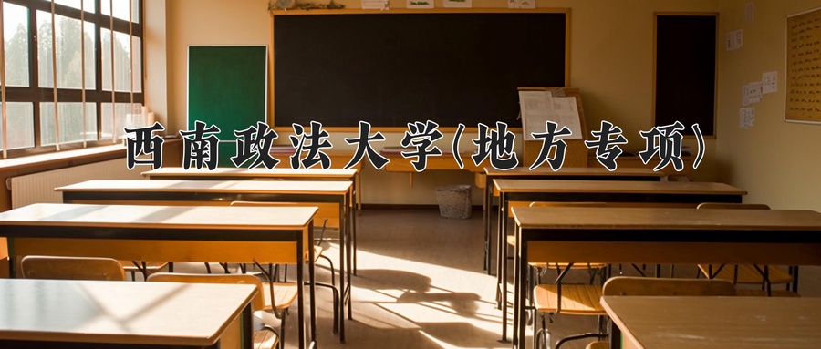 西南政法大学(地方专项)