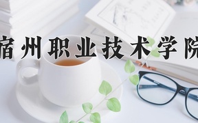 2024宿州职业技术学院录取分数线，云南最低315分