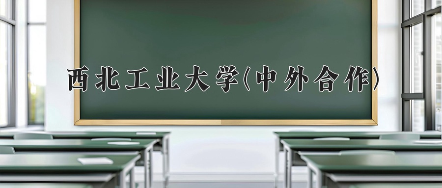 西北工业大学(中外合作)