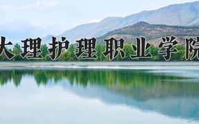 2024大理护理职业学院录取分数线，云南最低374分