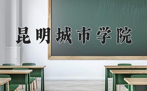 2024昆明城市学院录取分数线，云南最低203分