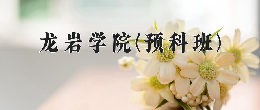 龙岩学院(预科班)