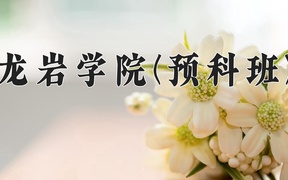 2024龙岩学院(预科班)录取分数线，重庆录取最低分488